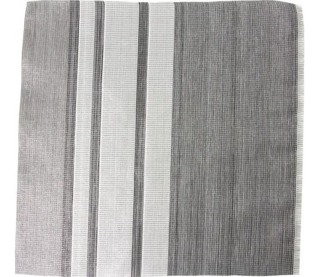 Wykładzina przedsionka Trip 450x250 cm - Brunner