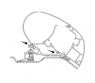 Adapter do markizy dachowej Ducato / Jumper / Boxer 4 m - Dometic